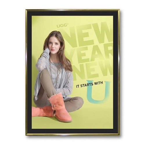 Classic Picture Frames with Matboard | Metal Framed Poster Displays