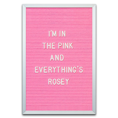PINK FELT LETTER BOARD