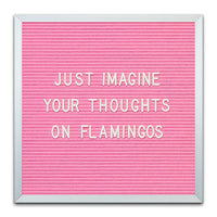 PINK FELT LETTER BOARD