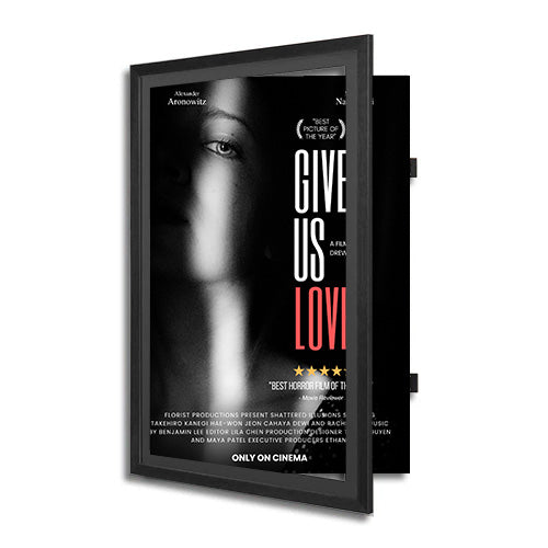 Wood 361 Poster Display SwingFrames 27x41 With Matboard