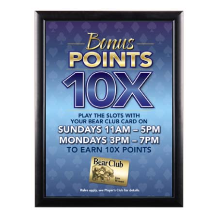 8.5x11 Picture Frame (Super Wide Face Metal Poster Display)