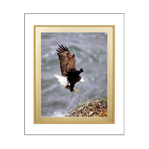 7/16" WIDE FRAME PROFILE WITH DECORATIVE MATBOARD