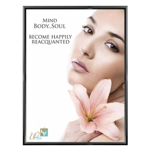 Economical 40x60 Snap Frame, Quick Change Poser Sign Frame with 1 1/4" Wide Black Metal Profile