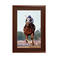 18 x 18 Wood Picture Poster Display Frames with Matboard (Wood 353)