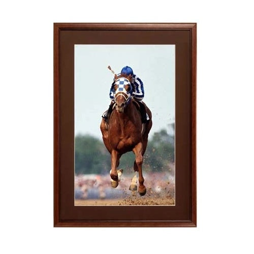 18 x 18 Wood Picture Poster Display Frames with Matboard (Wood 353)