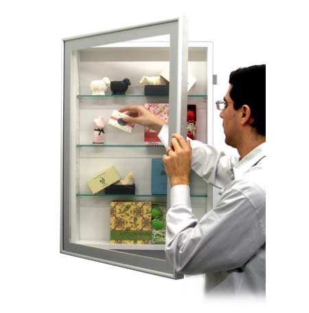 SwingFrame Designer Metal Frame Shadow Box 3" Deep  + Glass Shelves