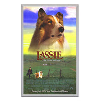 SNAP OPEN POSTER GRIP FRAMES 27x40 (SHOWN in SILVER)