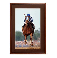 11 x 14 Wood Picture Frame | Poster Display Frame with Matboard and Elegant 3-Step Wood #353 Profile